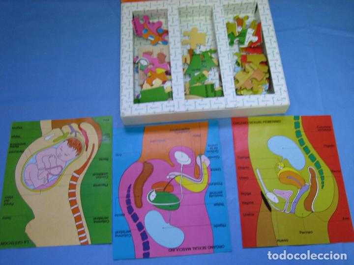 Puzzles: 2 puzzle el cuerpo humano. No jugado - Foto 3