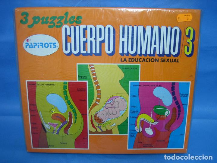 Puzzles: 2 antiguo puzzle el cuerpo humano de Papirots - Foto 1