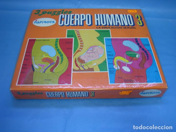 Puzzles: 2 antiguo puzzle el cuerpo humano de Papirots - Foto 2