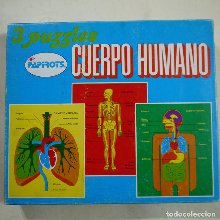 Puzzles: 3 PUZZLES 75 PIEZAS - CUERPO HUMANO - PAPIROTS - REF. 2202 - Foto 1