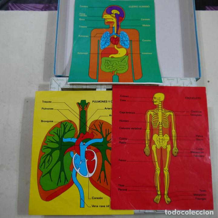 Puzzles: 3 PUZZLES 75 PIEZAS - CUERPO HUMANO - PAPIROTS - REF. 2202 - Foto 4