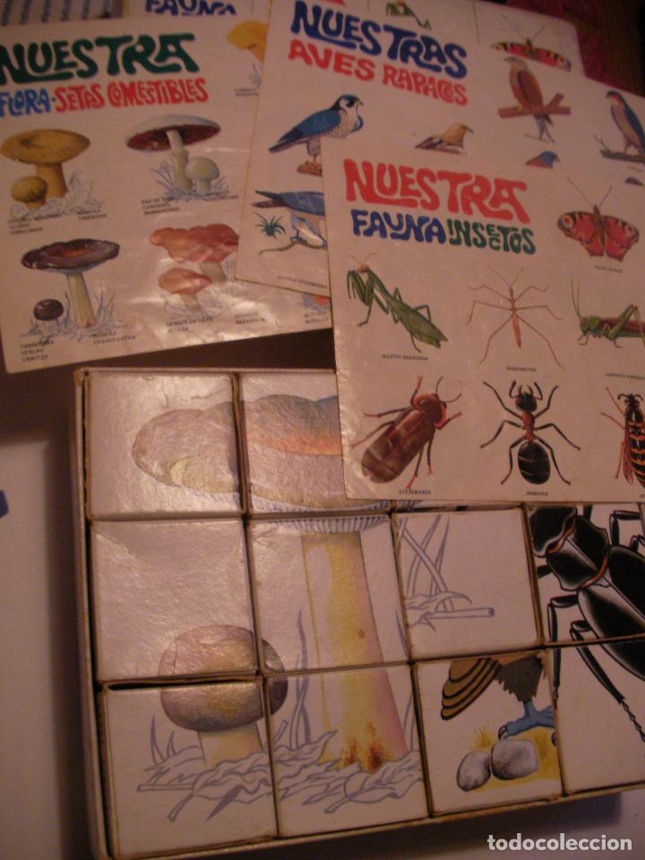 Puzzles: ANTIGUO PUZZLE DE CUBOS - NUESTRA FAUNA - Foto 2