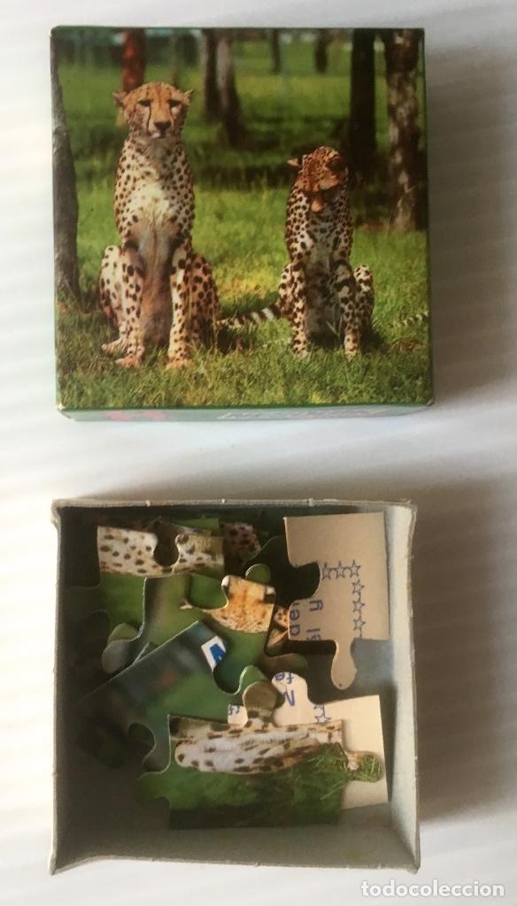 Puzzles: PUZZLE NESQUIK. LEOPARDOS. JUEGOS EDUCA. - Foto 2