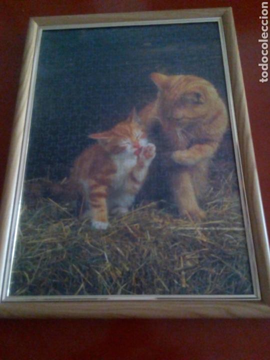 Puzzles: Cuadro puzzle enmarcado Gatos con marco - Foto 1