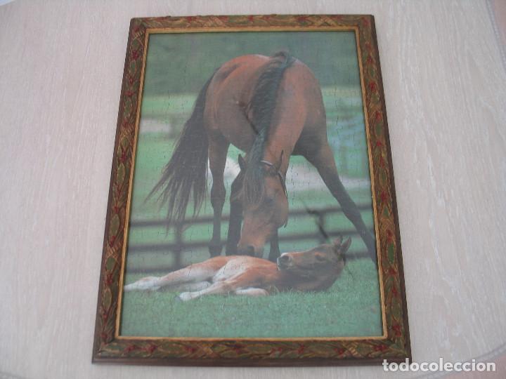 Puzzles: CUADRO PUZZLE CABALLOS - Foto 1