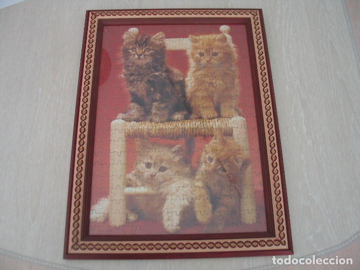 Puzzles: CUADRO PUZZLE GATOS - Foto 1