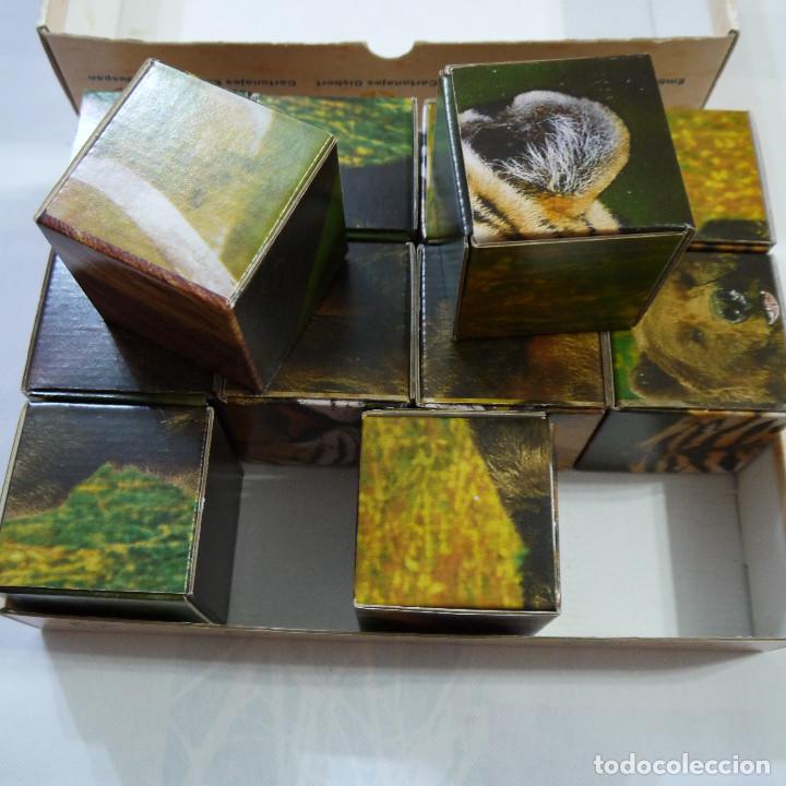Puzzles: ROMPECABEZAS DE 12 CUBOS DE ANIMALES - Foto 4