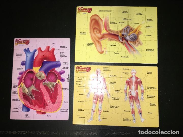 Puzzles: PUZZLE DE LA COLECCION DE LIBROS EL CUERPO HUMANO - Foto 1