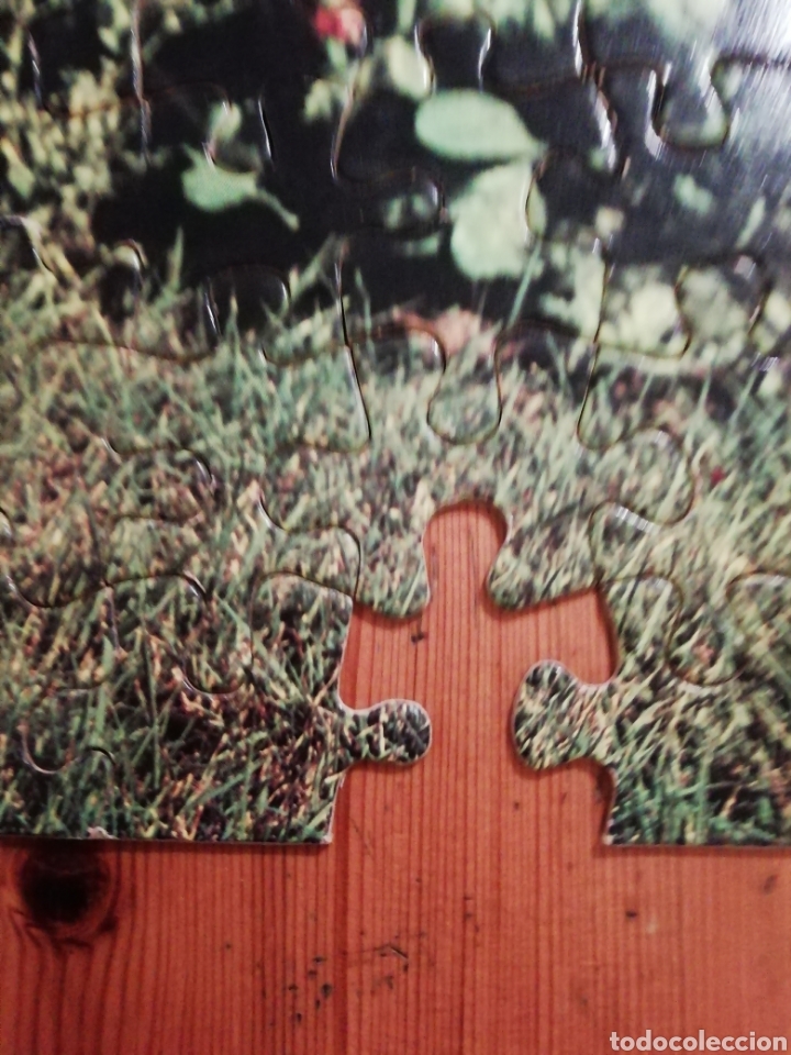 Puzzles: Nancy Famosa puzzle - Foto 4