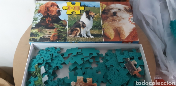 Puzzles: Puzzle Educa perros 3 - Foto 2