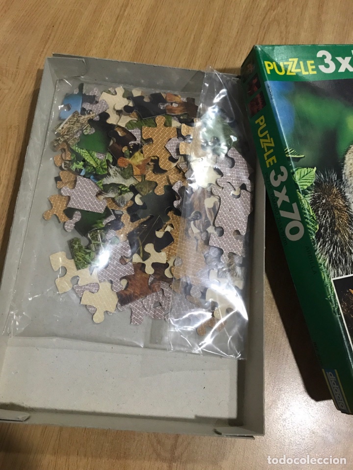Puzzles: Puzzle Ardilla - Foto 2