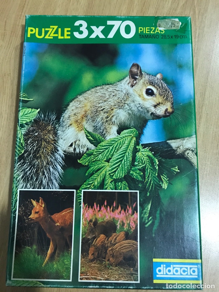 Puzzles: Puzzle Ardilla - Foto 1
