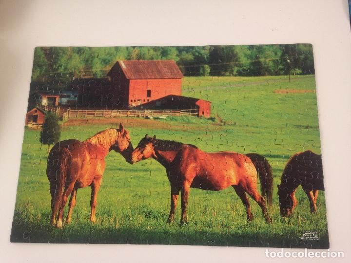 Puzzles: Puzzle Melissa & Doug 200 piezas. Completo - Foto 1
