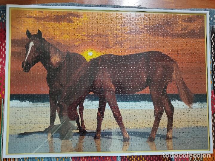 Puzzles: Puzzle enmarcado - Foto 1