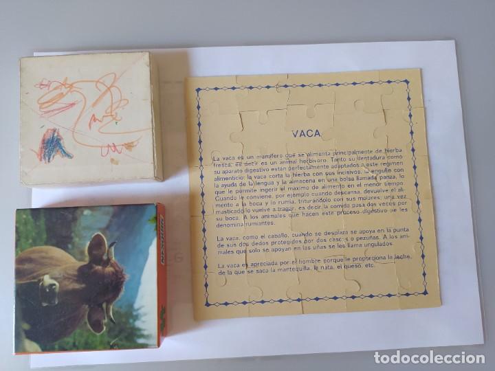 Puzzles: PUZZLE PROMOCIONAL OBSEQUIO NESQUIK JUEGOS EDUCA - Foto 12