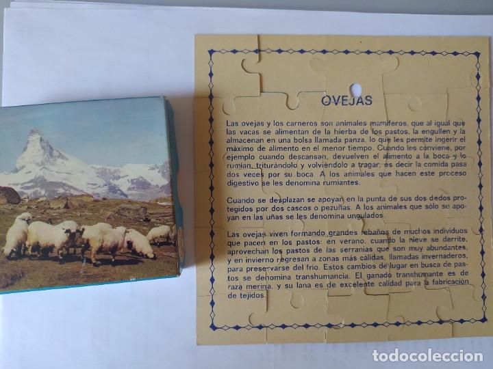 Puzzles: PUZZLE PROMOCIONAL OBSEQUIO NESQUIK JUEGOS EDUCA - Foto 15