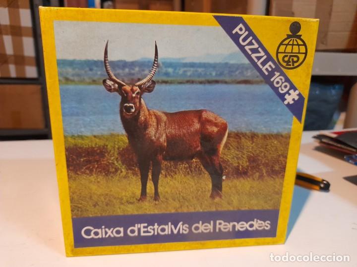 Puzzles: PUZZLE 169 : ANTILOPE AFRICANO (COMPLETO ) - Foto 1