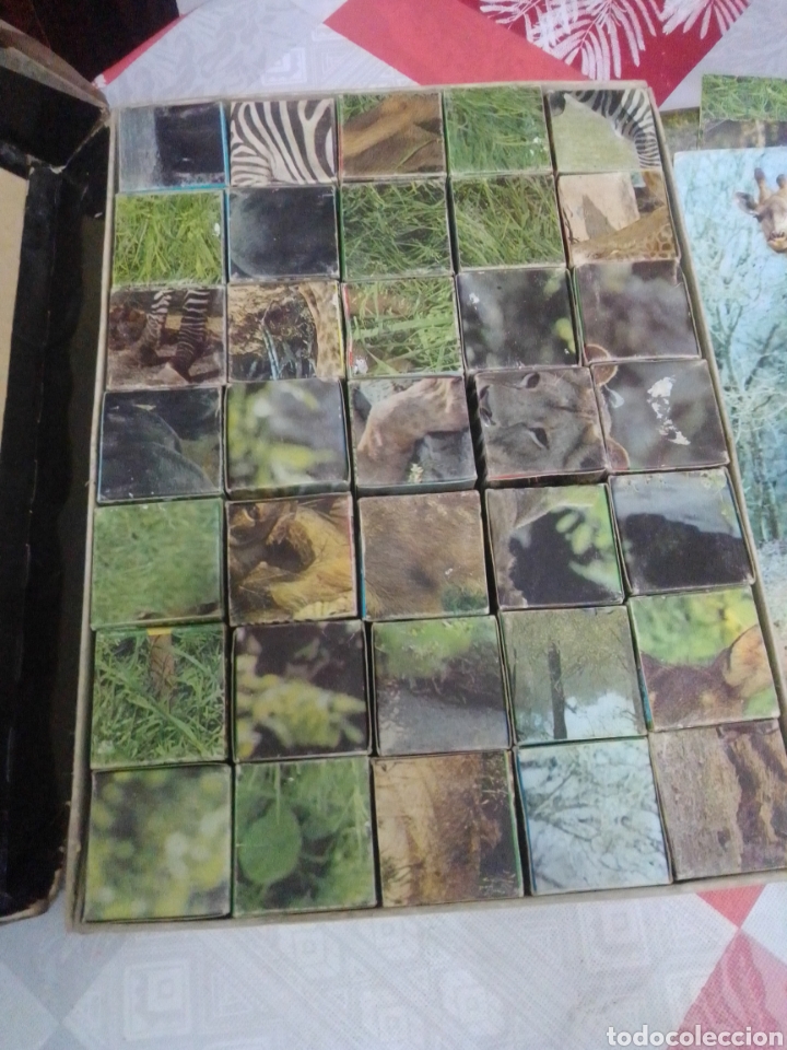 Puzzles: Antiguo rompecabezas zoo completo - Foto 4
