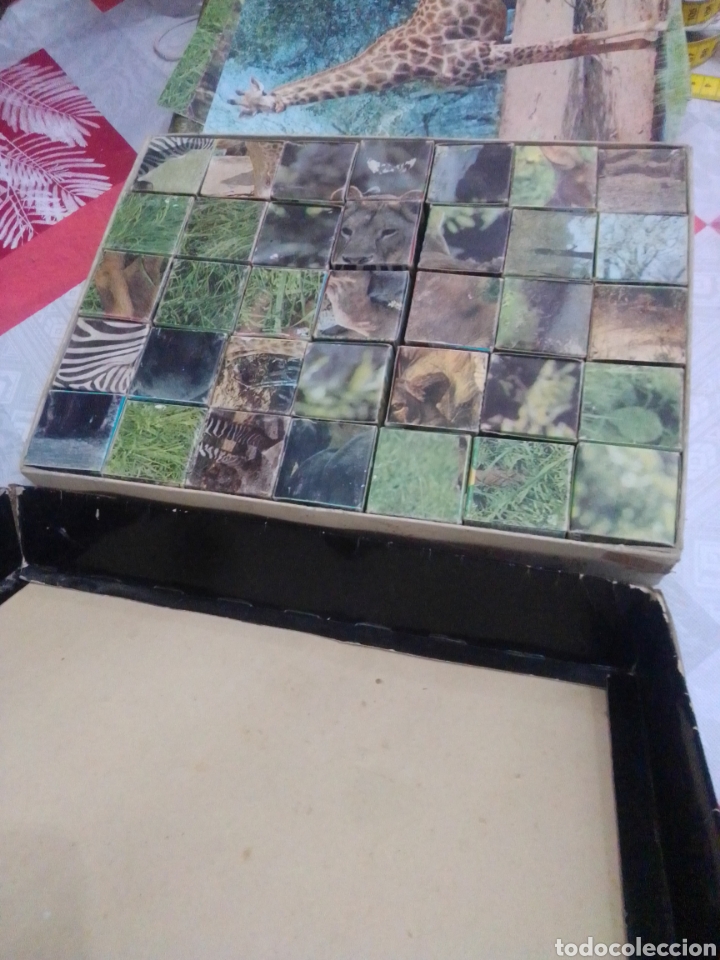 Puzzles: Antiguo rompecabezas zoo completo - Foto 5
