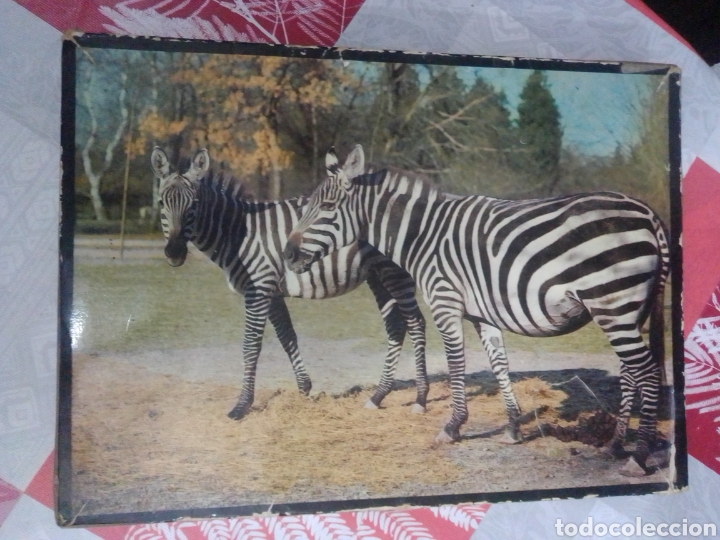 Puzzles: Antiguo rompecabezas zoo completo - Foto 1
