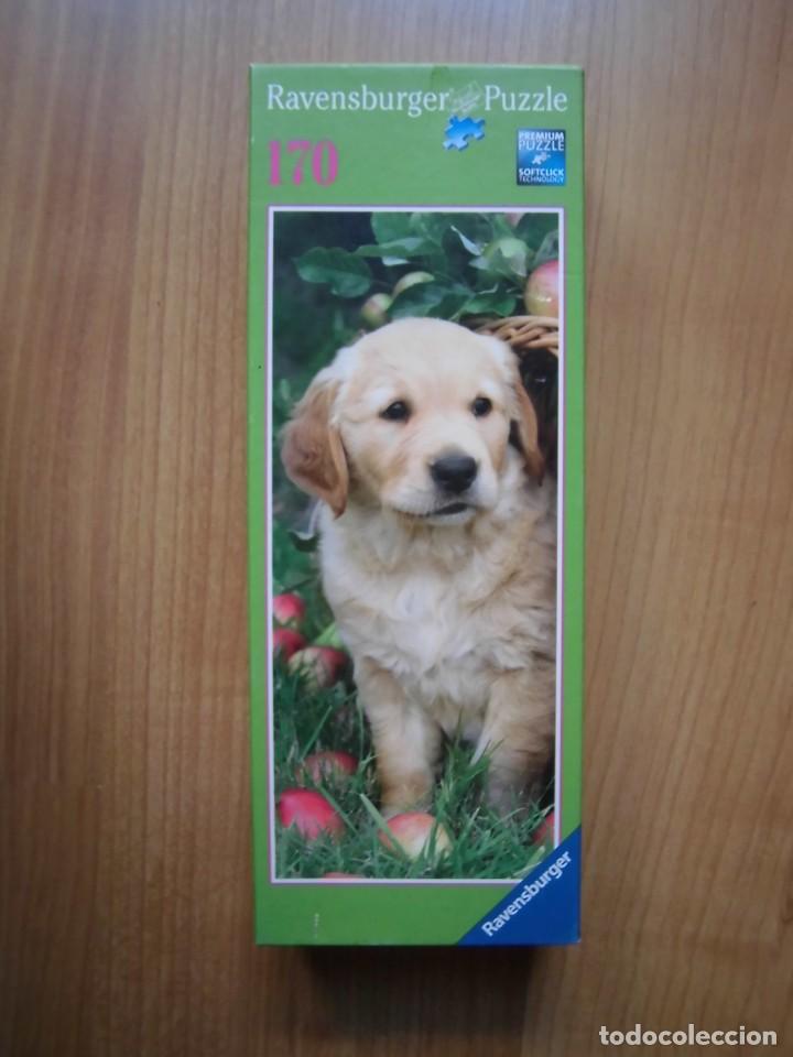 Puzzles: PUZZLE RAVENSBURGER 170 PIEZAS PERRO LABRADOR - Foto 1