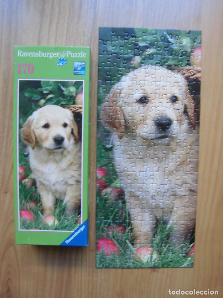 Puzzles: PUZZLE RAVENSBURGER 170 PIEZAS PERRO LABRADOR - Foto 5