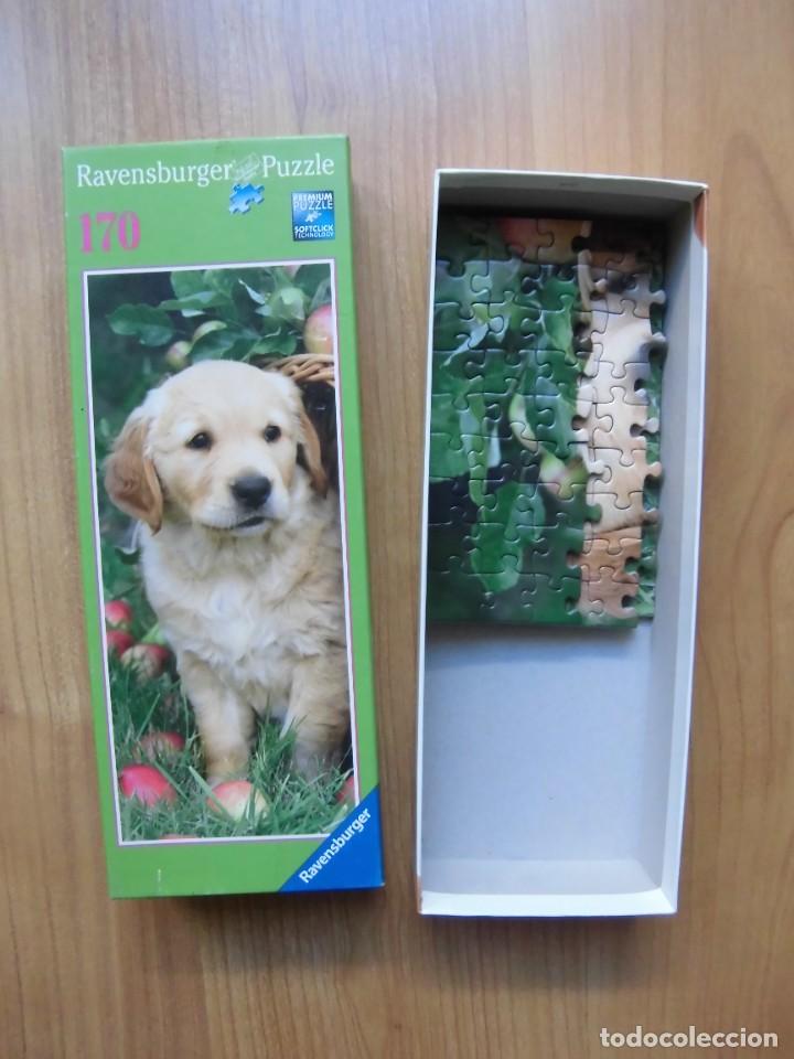 Puzzles: PUZZLE RAVENSBURGER 170 PIEZAS PERRO LABRADOR - Foto 6