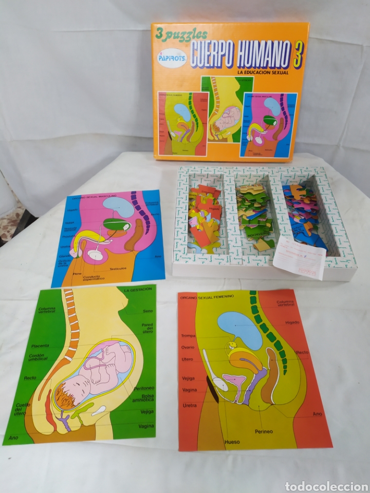 Puzzles: El cuerpo humano 3 de Papirots - Foto 2