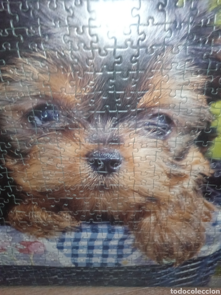 Puzzles: Puzzle sin estrenar - Foto 4