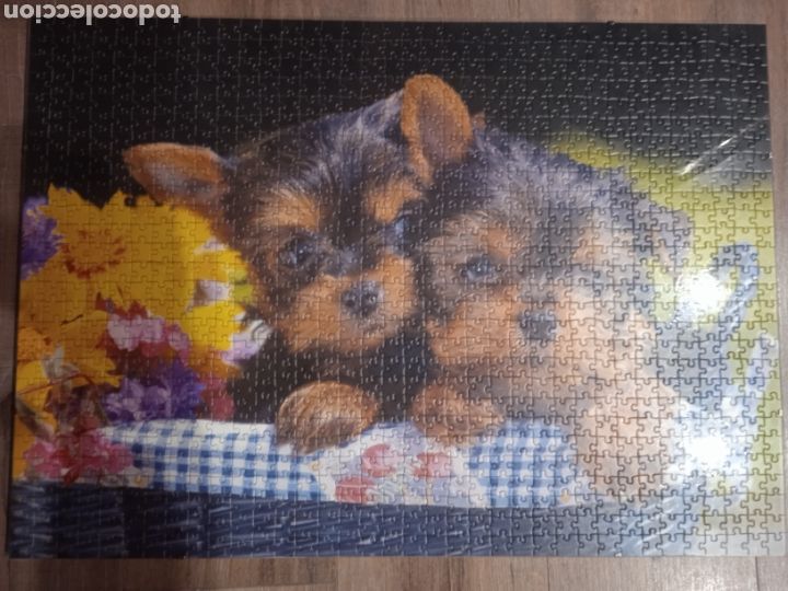 Puzzles: Puzzle sin estrenar - Foto 5