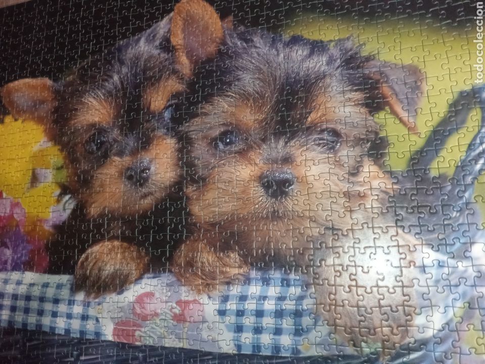 Puzzles: Puzzle sin estrenar - Foto 6