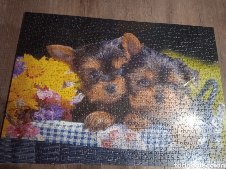Puzzles: Puzzle sin estrenar - Foto 2