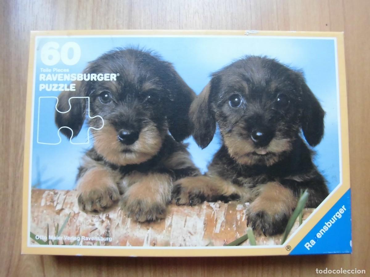 Puzzles: PUZZLE INFANTIL PERRITOS 60 RAVENSBURGER COMPLETO - Foto 1