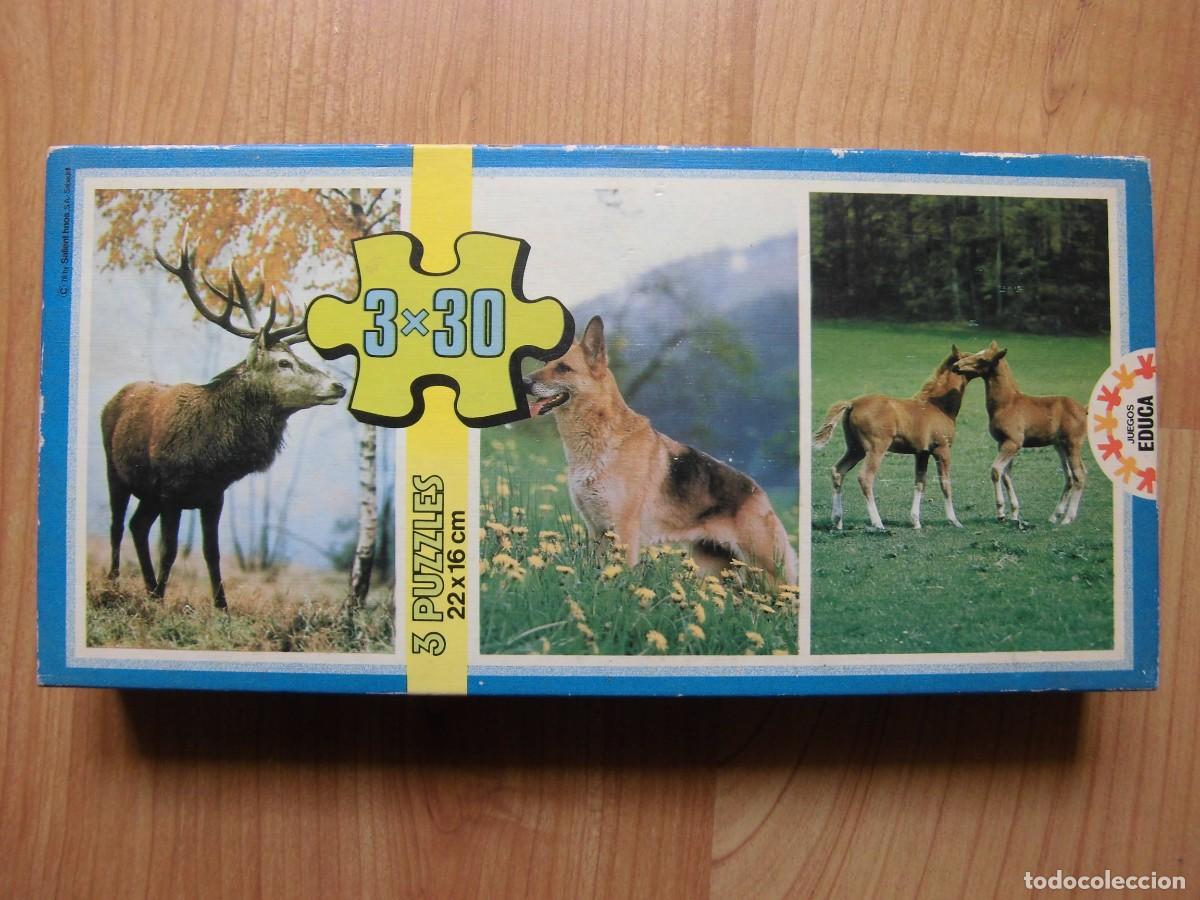 Puzzles: ANTIGUO PUZZLE EDUCA 3 x 30 COMPLETO - Foto 1