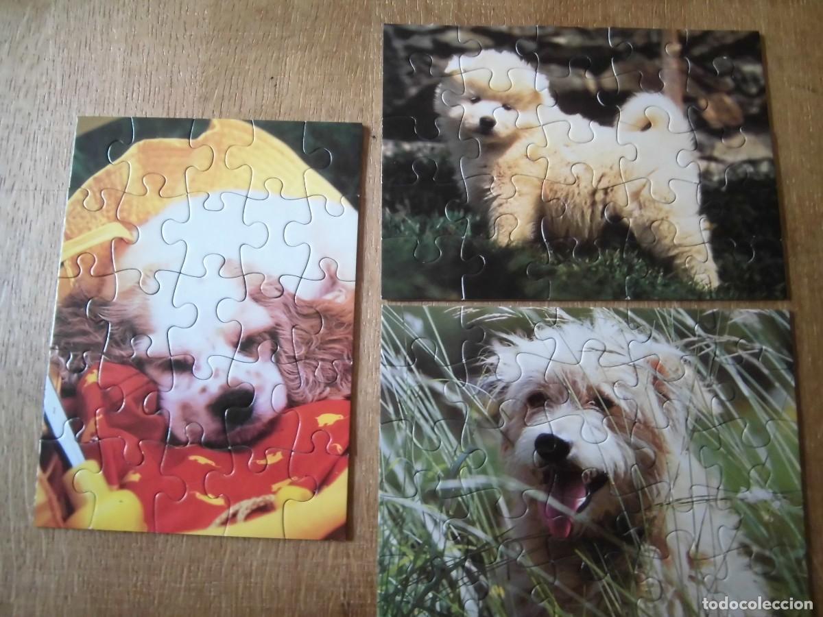 Puzzles: PUZZLE INFANTIL EDUCA 3 X 25 DULCES PERRITOS - Foto 3