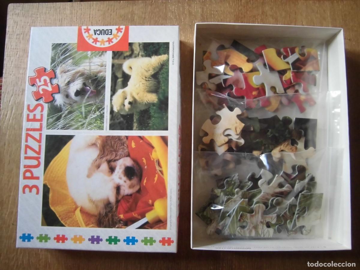Puzzles: PUZZLE INFANTIL EDUCA 3 X 25 DULCES PERRITOS - Foto 4