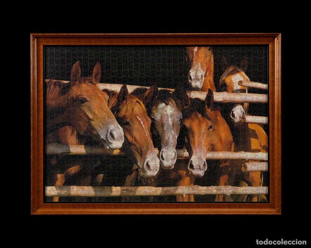 Puzzles: PUZZLE MONTADO Y ENMARCADO CABALLOS - Foto 1
