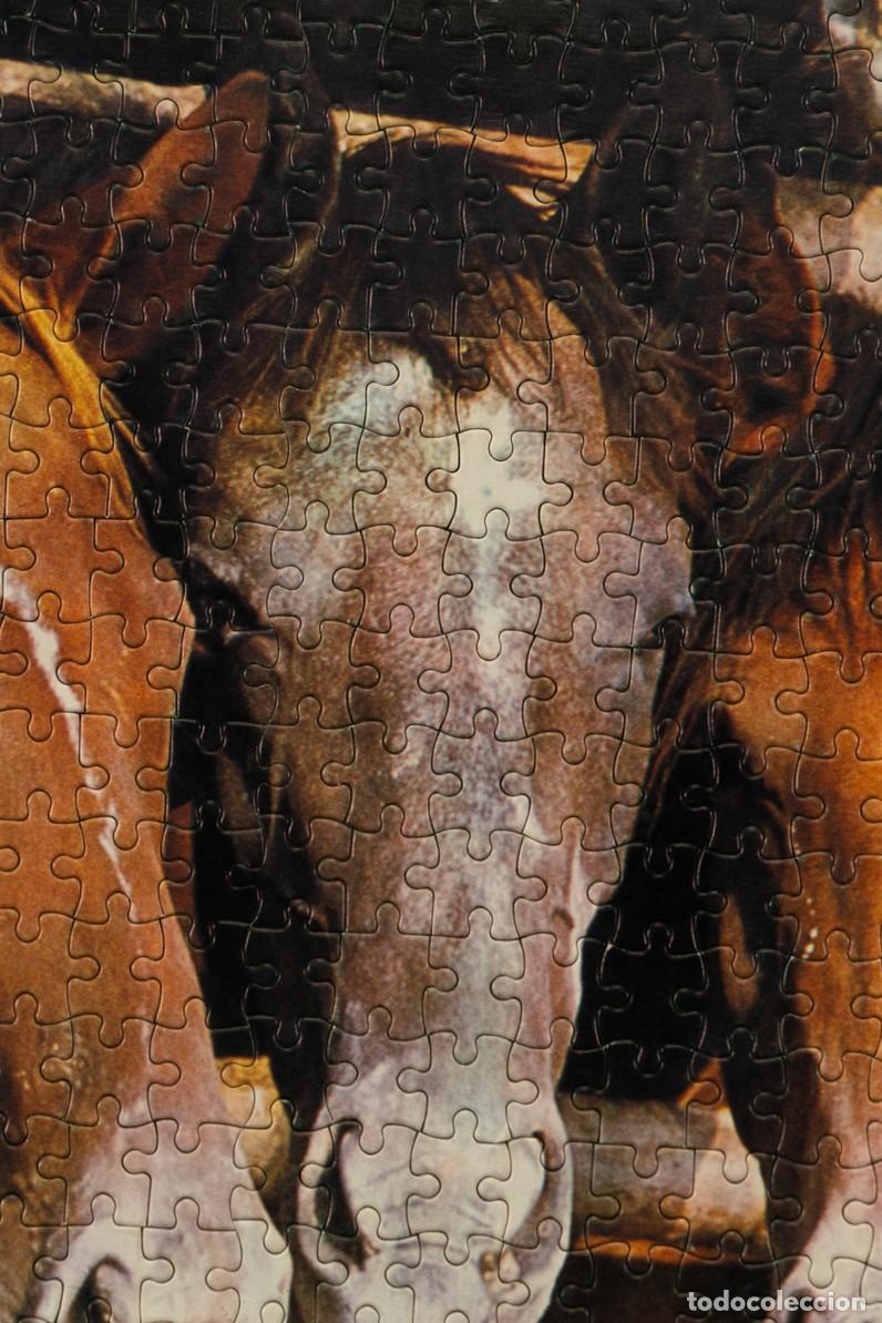 Puzzles: PUZZLE MONTADO Y ENMARCADO CABALLOS - Foto 2
