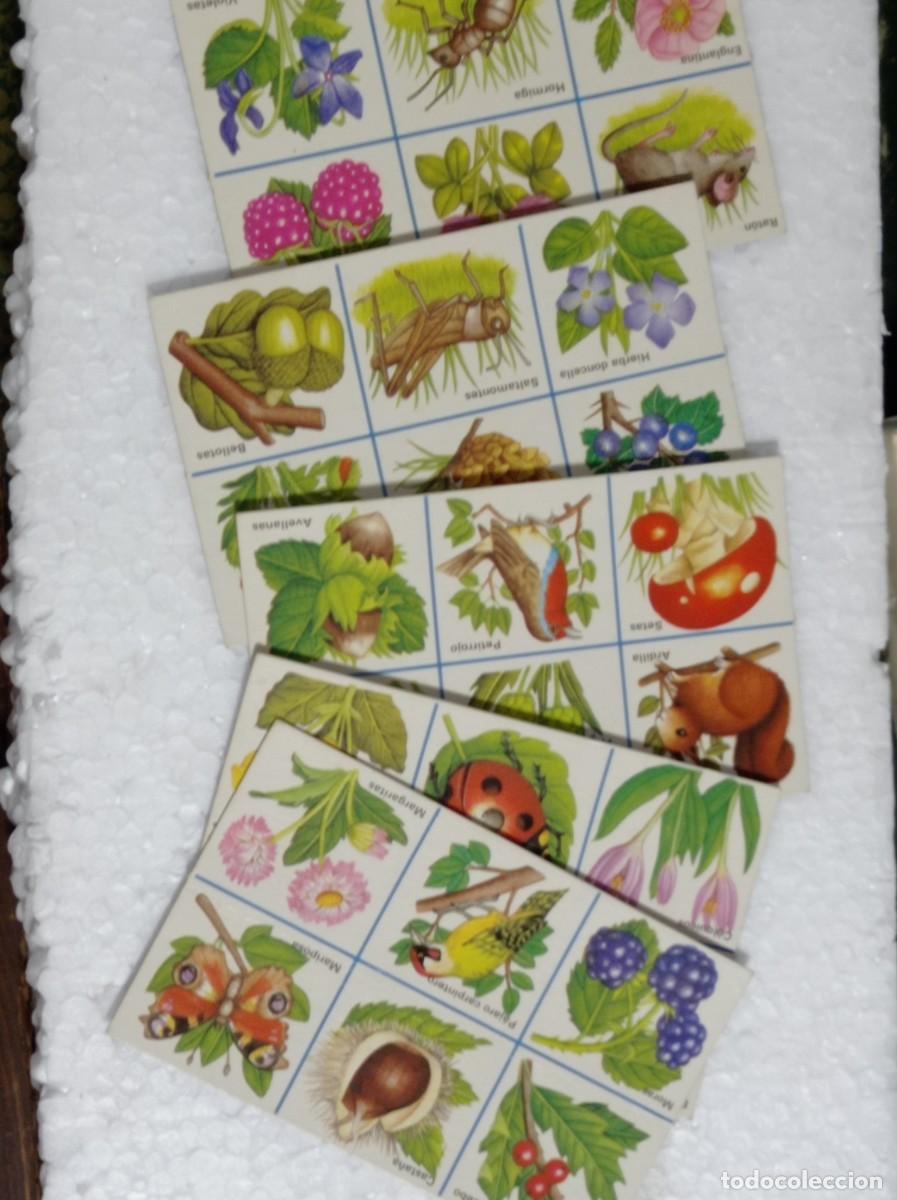 Puzzles: Antiguo Puzzle puzle completo - Foto 3