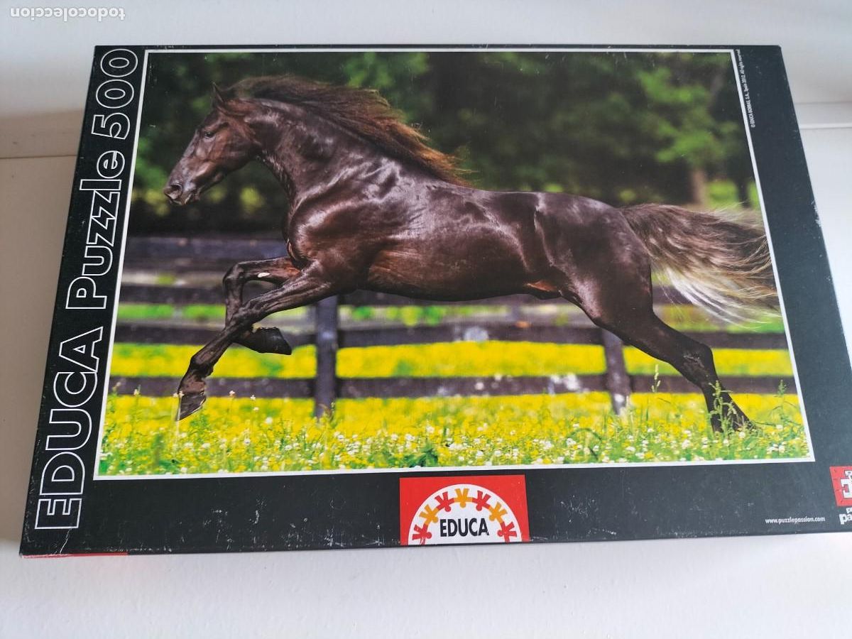 Puzzles: Puzzle Educa 500 piezas Caballo - Foto 1