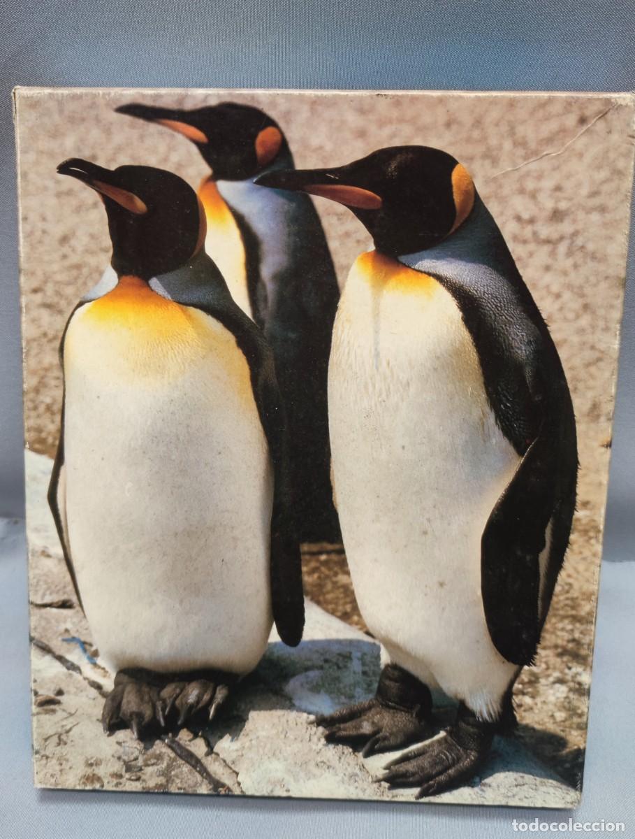 Puzzles: Puzzle Ping&uuml;inos de 200 piezas de MB - Foto 1