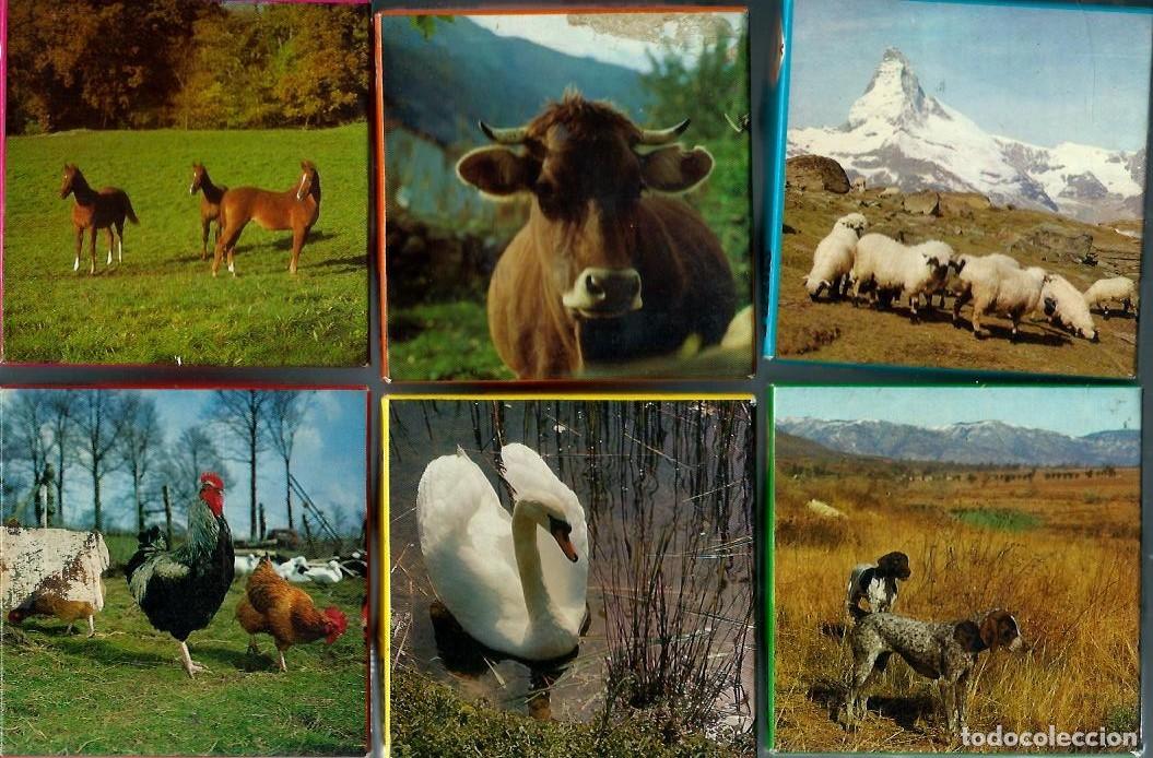 Puzzles: lote 6 puzzles EDUCA a&ntilde;os 70 - obsequio nesquik - Foto 1