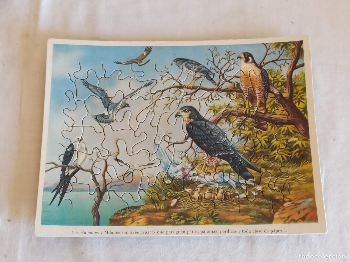 Puzzles: Puzzle 3 en 1 Animales en la naturaleza - Foto 3