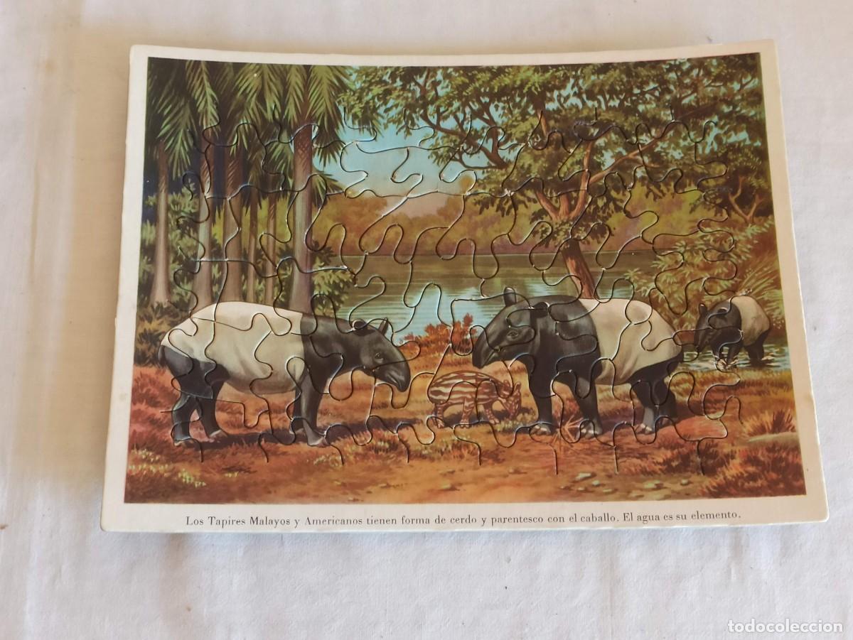 Puzzles: Puzzle 3 en 1 Animales en la naturaleza - Foto 4
