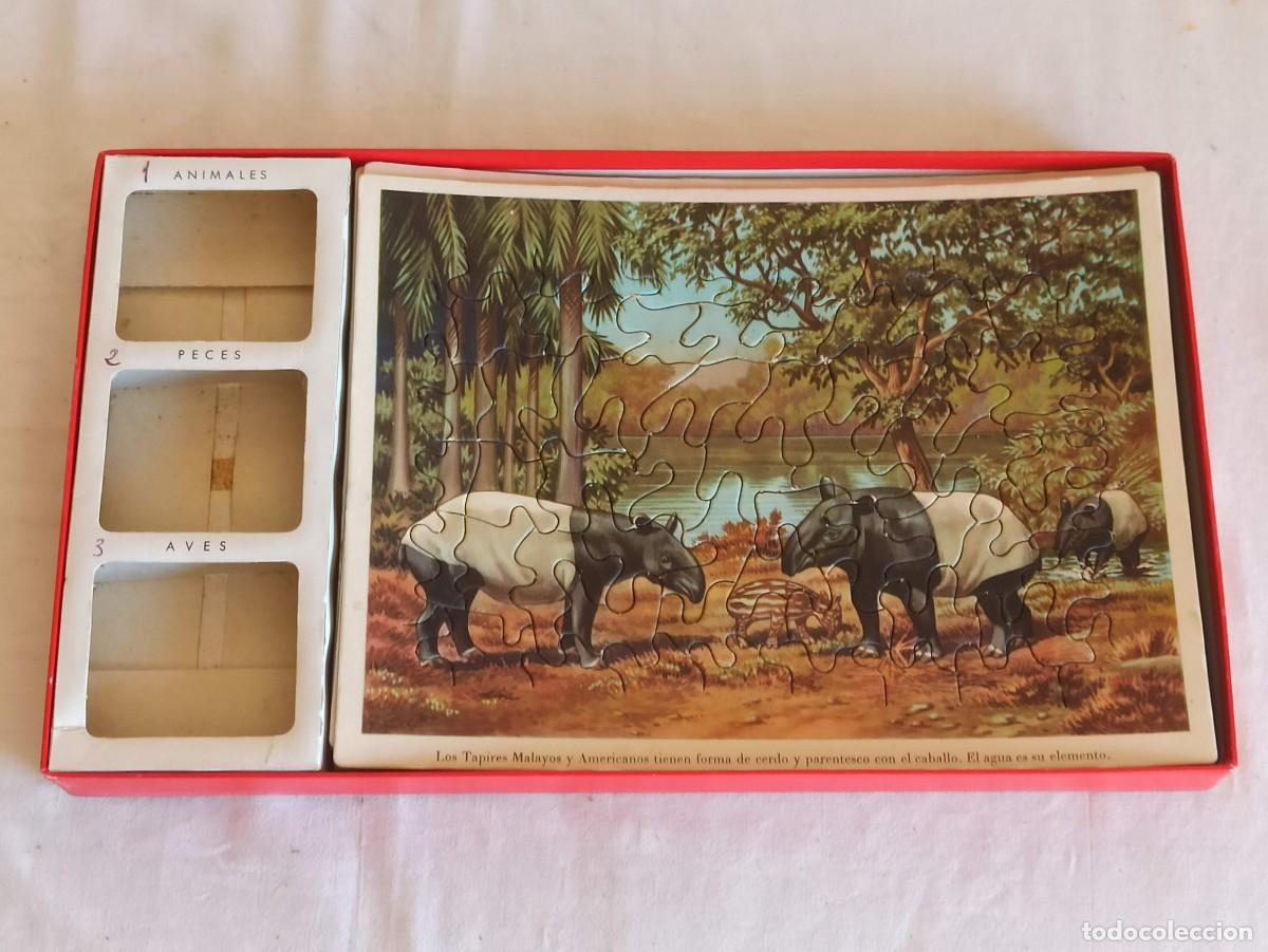 Puzzles: Puzzle 3 en 1 Animales en la naturaleza - Foto 5