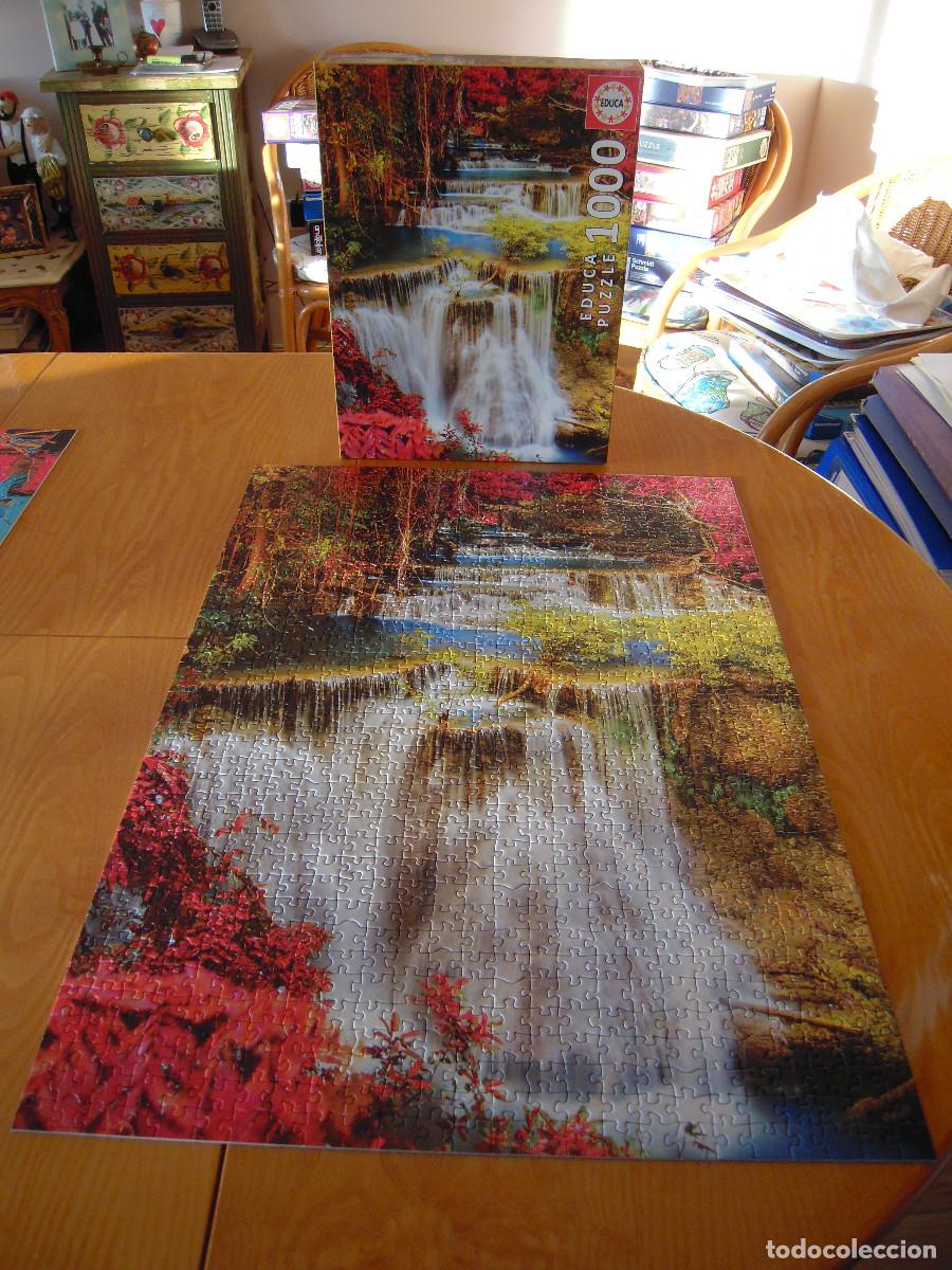 Puzzles: Puzle Educa Catarata en el bosque 1000 piezas - Foto 1