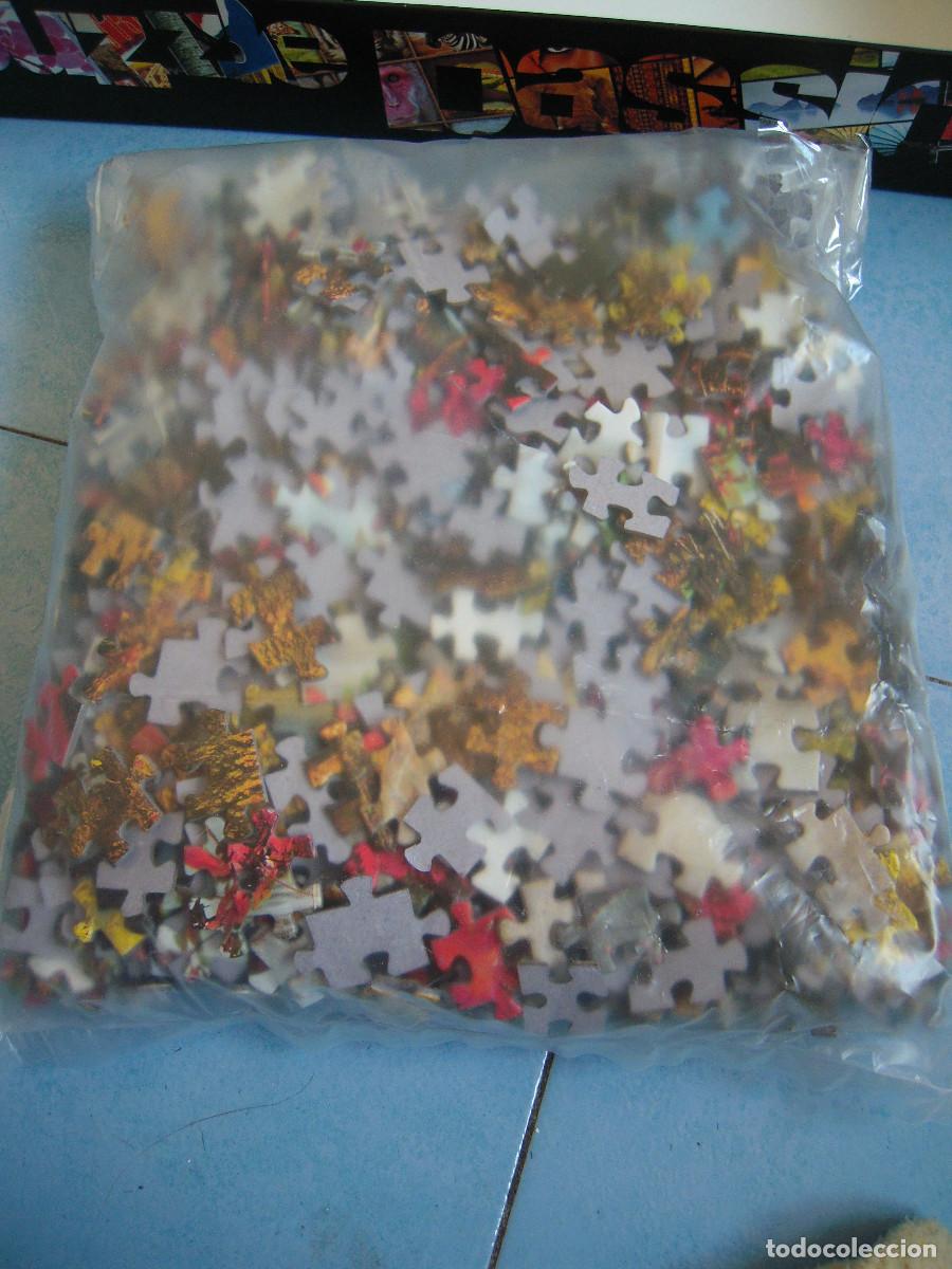 Puzzles: Puzle Educa Catarata en el bosque 1000 piezas - Foto 13