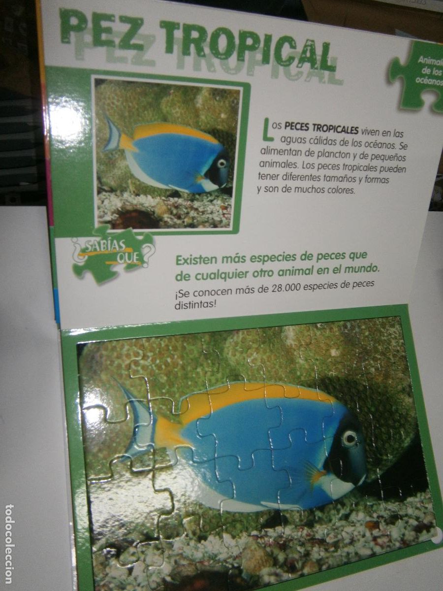 Puzzles: 5 PUZLES DE ANIMALES DE LOS OCEANOS - Foto 3