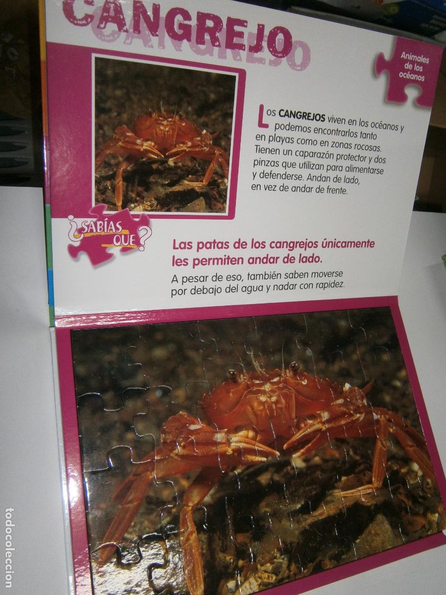 Puzzles: 5 PUZLES DE ANIMALES DE LOS OCEANOS - Foto 4