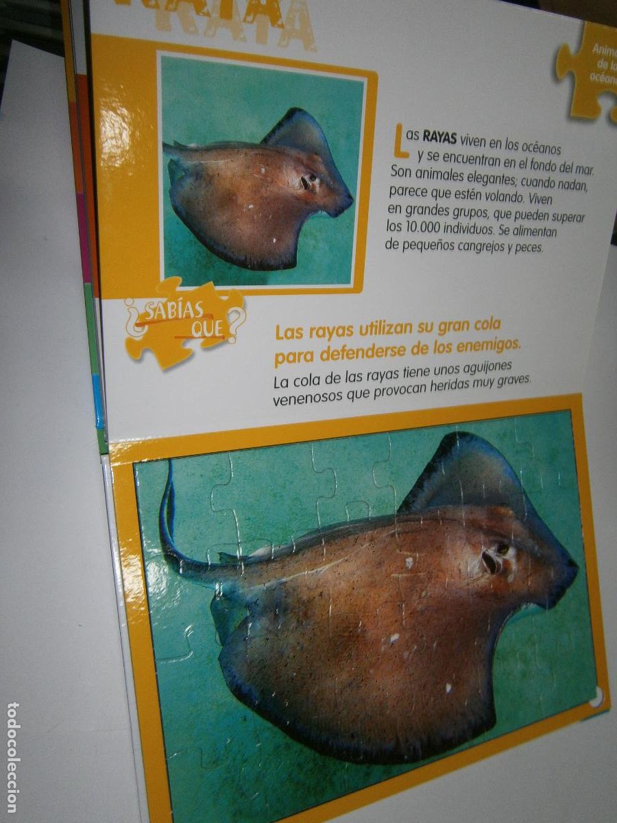 Puzzles: 5 PUZLES DE ANIMALES DE LOS OCEANOS - Foto 6